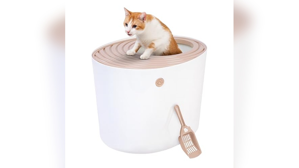 Best Cat Litter Box for Small Apartment: Top Compact Picks Reviewed