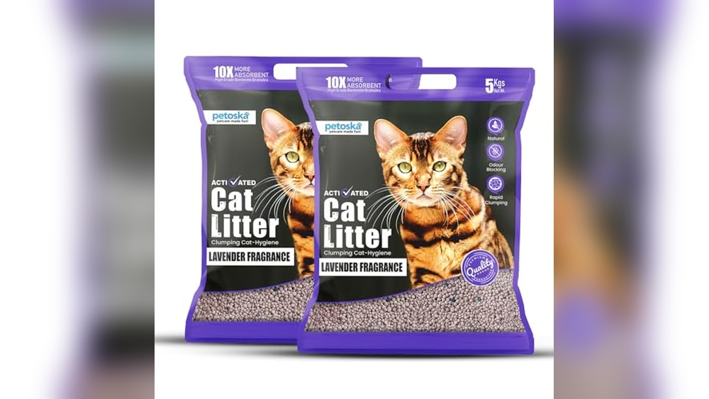 Best Cat Litter for Clumping And Odor Control: Top Natural Picks