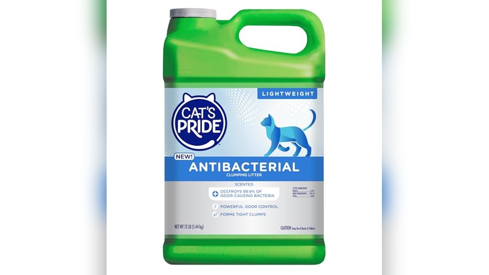 Best Cat Litter for Diarrhea: Top Odor Control and Clumping Choices