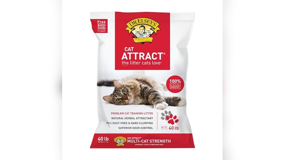 Best Cat Litter for Picky Cats: Top Odor Control and Low Dust Choices