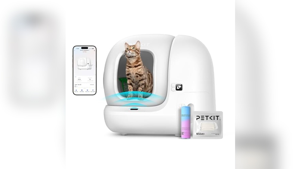 Best Cat Litter for Pura Max: Top Picks for Odor-Free Cleanliness