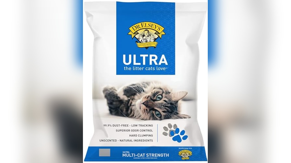 Best Cat Litter for Sensitive Paws: Top Gentle Clumping Choices