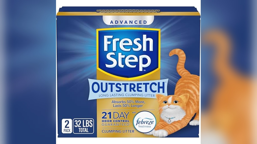 Best Cat Litter for Two Cats: Top Odor Control and Clumping Picks