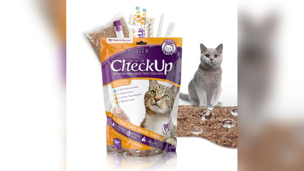 Best Cat Litter for Urinary Tract Infections: Top Health Monitoring Picks