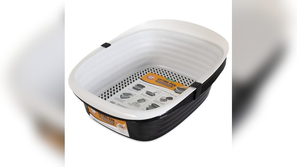 Best Cat Litter Set Up for Odor Control and Easy Cleaning Solutions