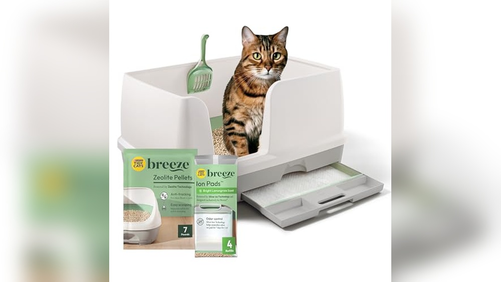 Best Cat Litter System for Multiple Cats: Top Self-Cleaning Solutions Reviewed