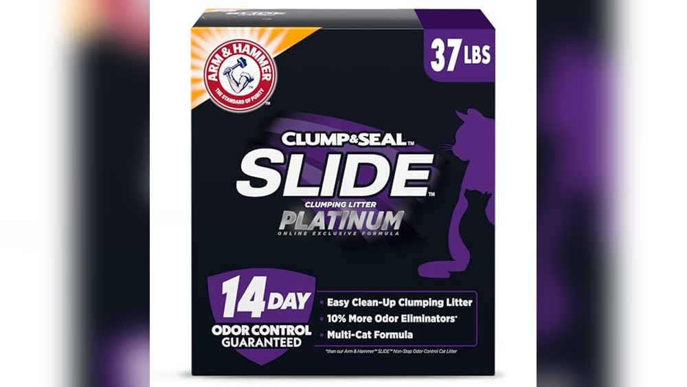 Best Cat Litter That Doesn&rsquo;T Stick to Paws for Clean, Odor-Free Homes