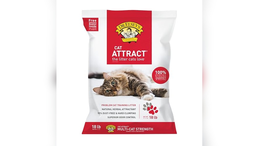 Best Cat Litter Without Dust for Clean, Odor-Free, and Healthy Homes