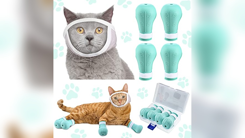 Best Cat Muzzle for Biting: Top Safe and Comfortable Grooming Solutions