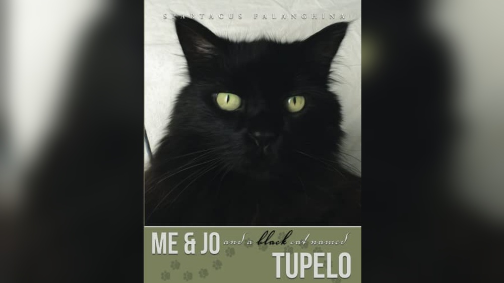 Best Cat Names for Black Cats: Unique, Charming, and Playful Ideas