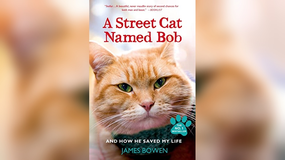 Best Cat Names from Movies: Iconic Feline Inspirations for Your Pet