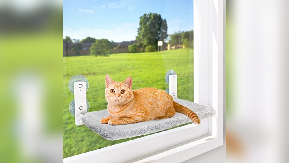 Best Cat Perch for Window: Top Sturdy and Cozy Cat Hammocks