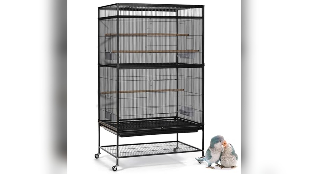 Best Cat Proof Bird Cage: Top Durable and Safe Bird Cages Reviewed