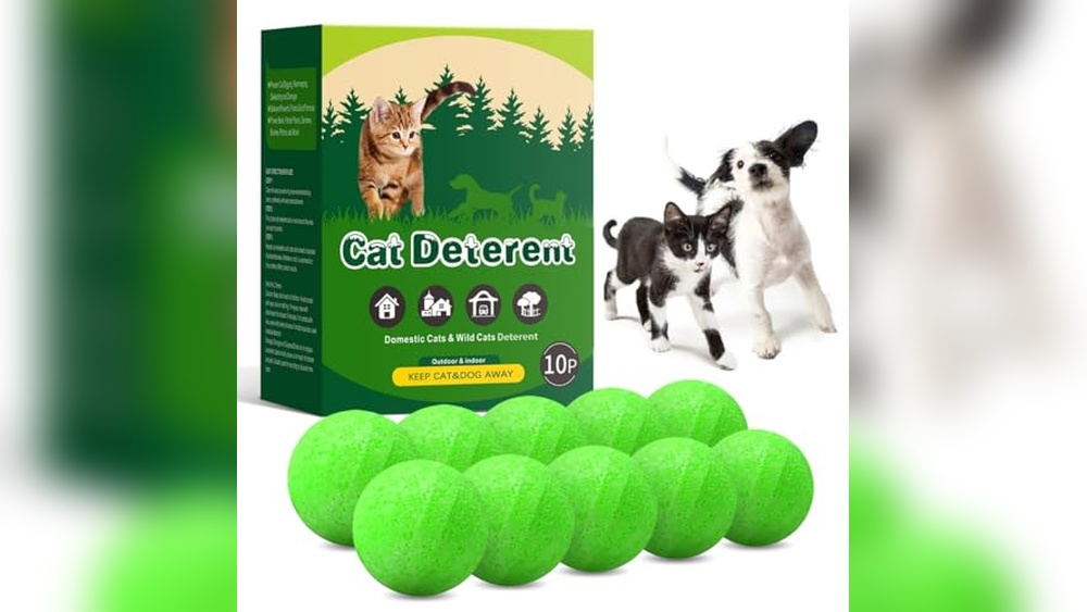 Best Cat Repellent for Outdoors