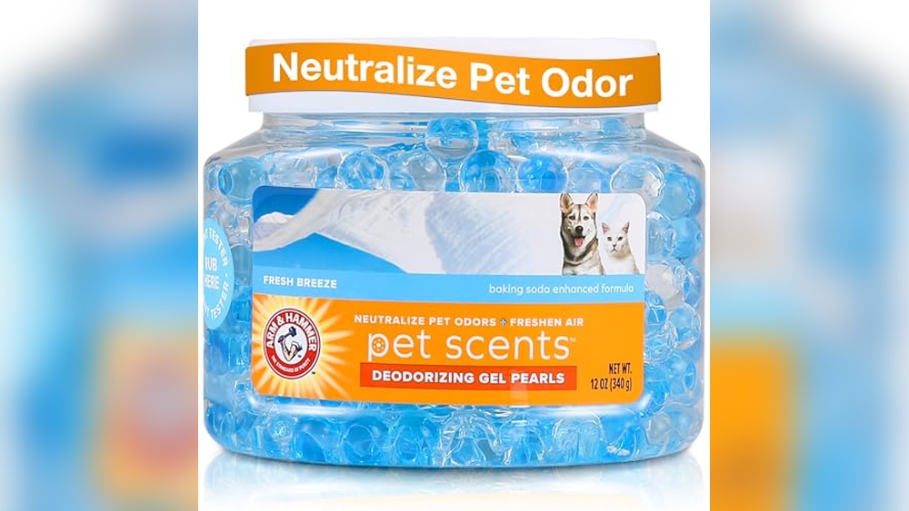 Best Cat Safe Air Fresheners to Eliminate Odors and Freshen Homes