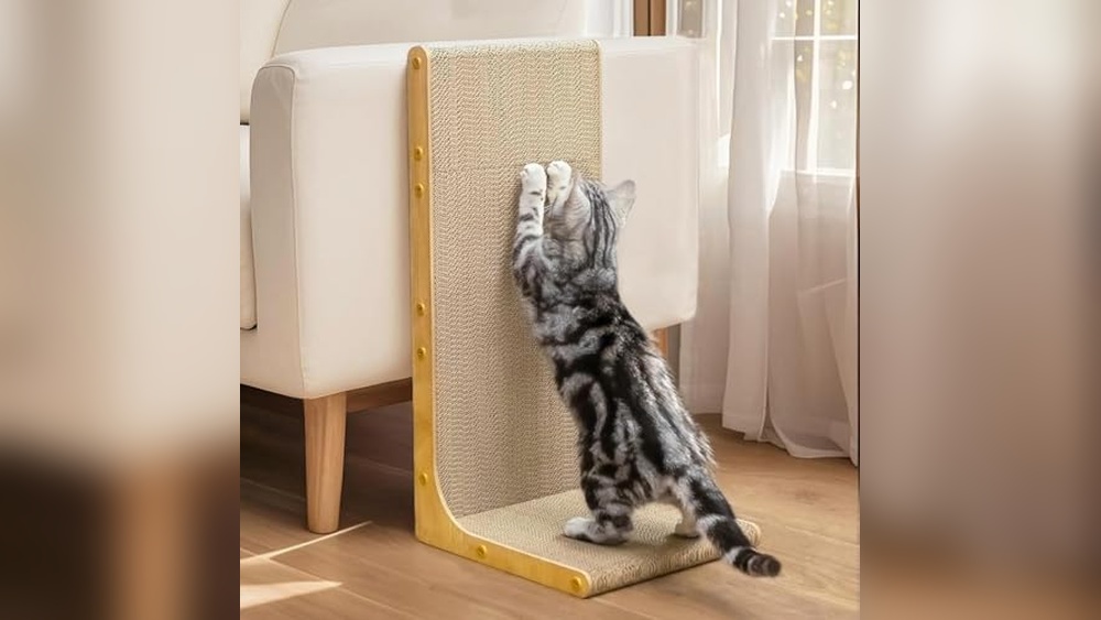 Best Cat Scratcher for Filing Nails: Top Durable and Effective Picks