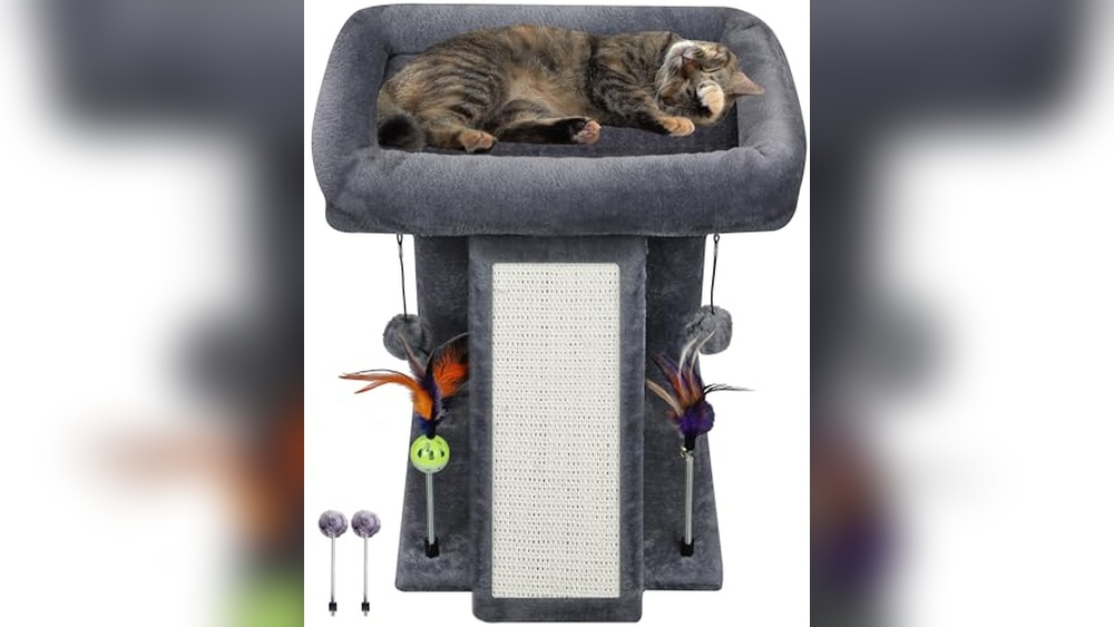 Best Cat Scratching Post for Indoor Cats: Top Durable and Fun Picks