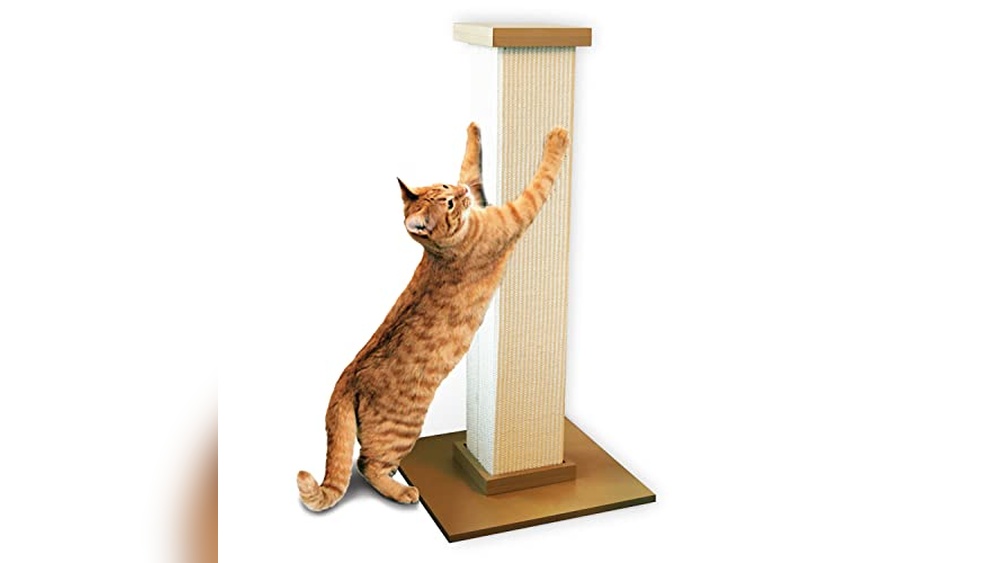 Best Cat Scratching Post for Large Cats: Durable and Spacious Picks