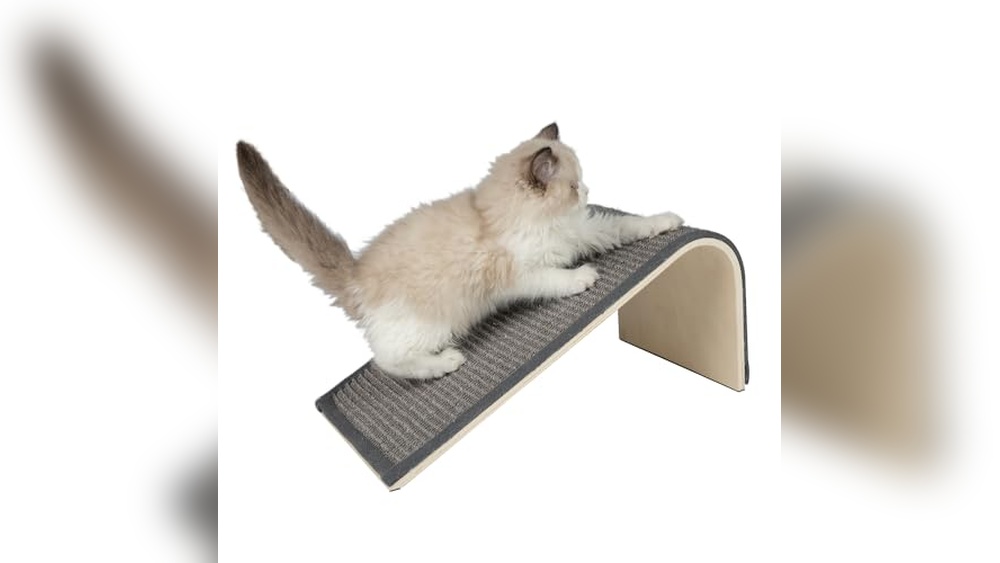 Best Cat Scratching Post to File Nails for Indoor Cats&rsquo; Playtime