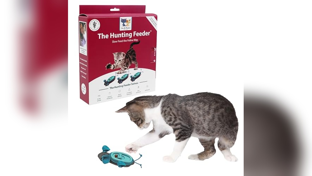 Best Cat to Hunt Mice: Top Interactive Toys to Boost Natural Instincts