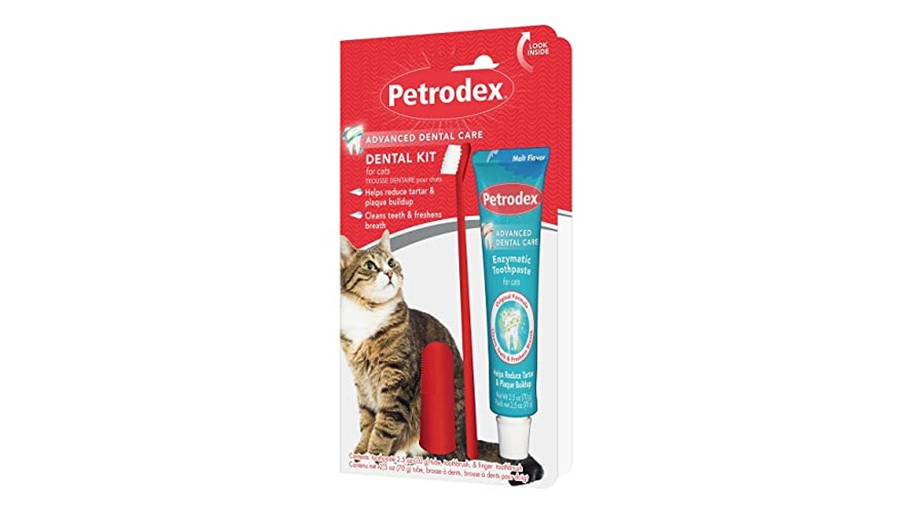Best Cat Toothbrush And Toothpaste for Effective Dental Care Solutions