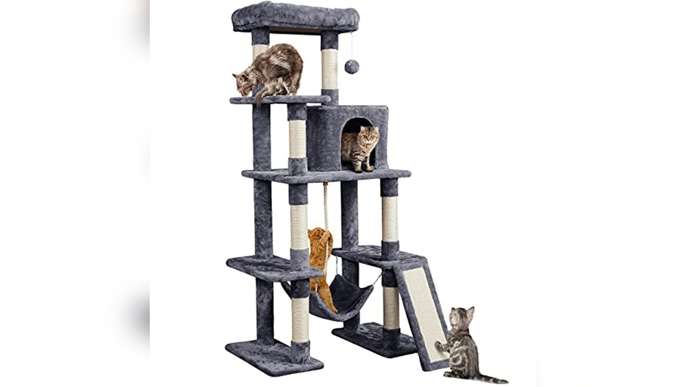 Best Cat Towers for Large Cats: Sturdy, Spacious, and Fun Designs