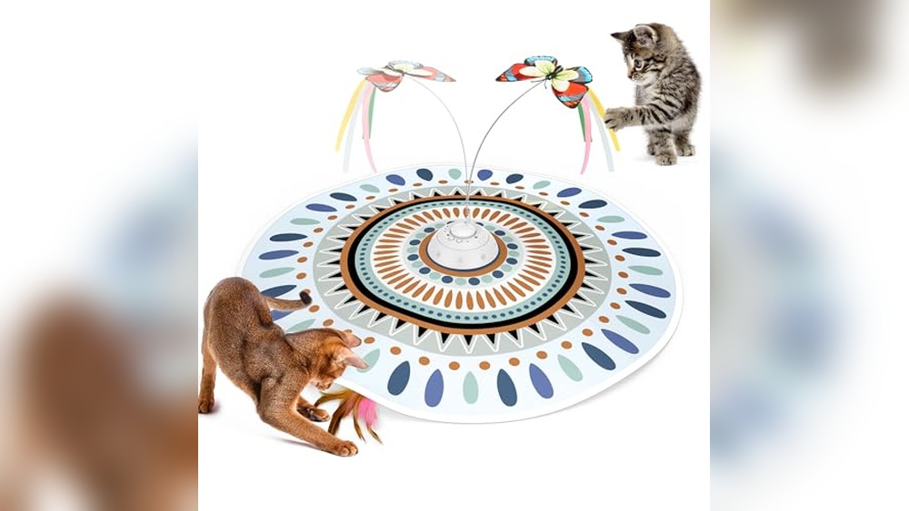 Best Cat Toy for Home Alone Cats