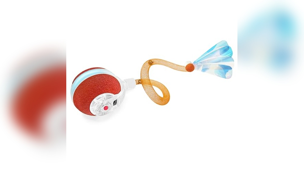 Best Cat Toy in the World: Top Interactive Toys for Indoor Cats