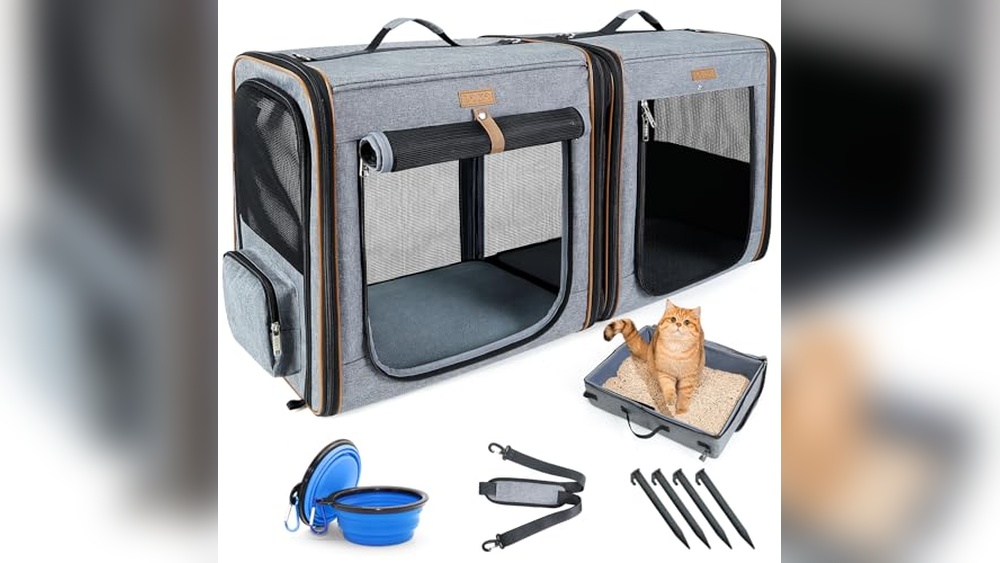 Best Cat Travel Carrier for Car: Top Picks for Comfort and Safety