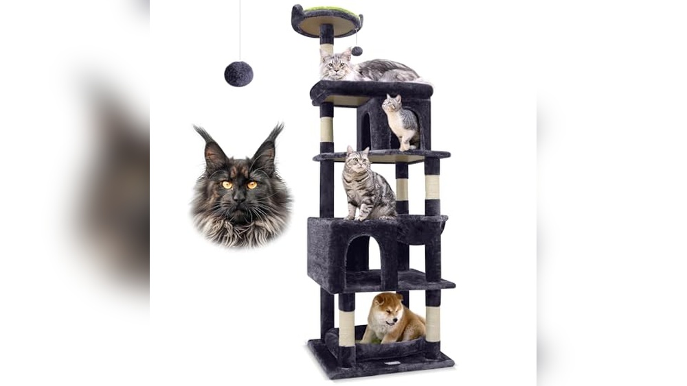 Best Cat Tree for Maine Coon: Sturdy, Spacious, and Stylish Choices