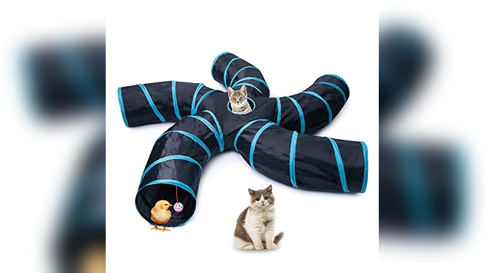 Best Cat Tunnel for Large Cats: Top Durable and Interactive Picks