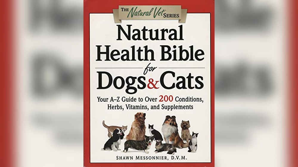 Best Cat Vet in My Area: Top Natural Health and Vet Gift Picks