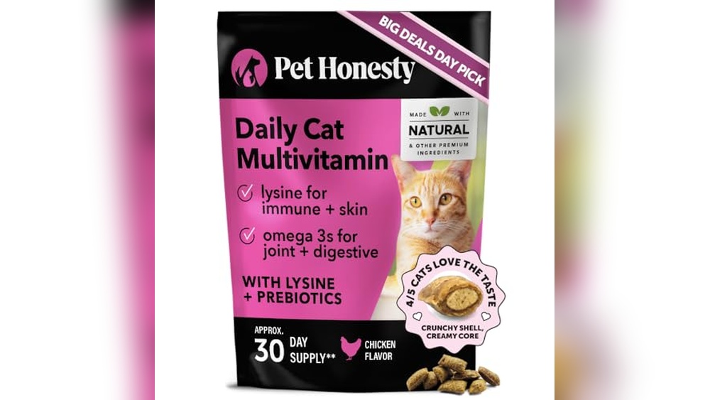 Best Cat Vitamins And Supplements