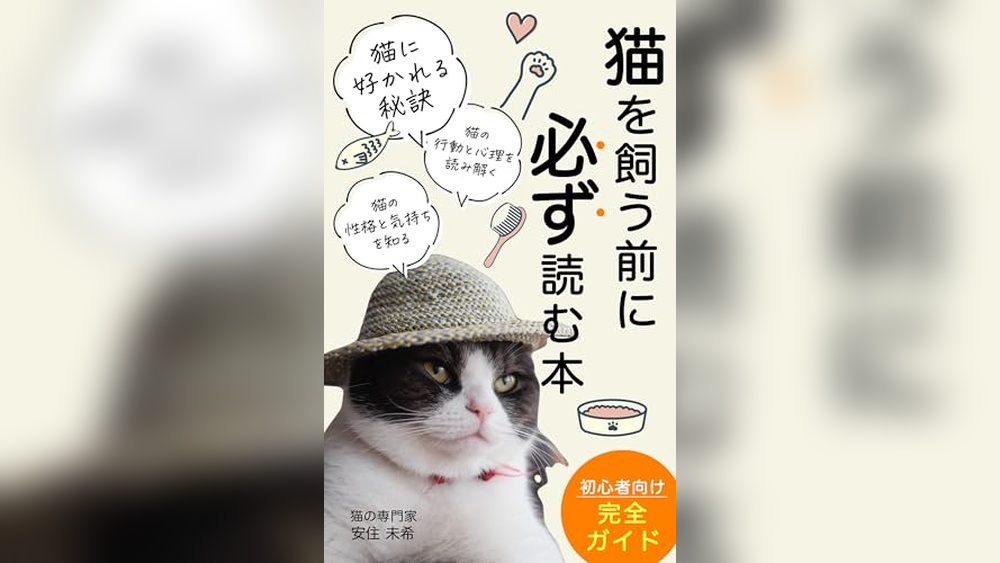 Best Cats for First Time Owners: Top Breeds and Essential Care Tips