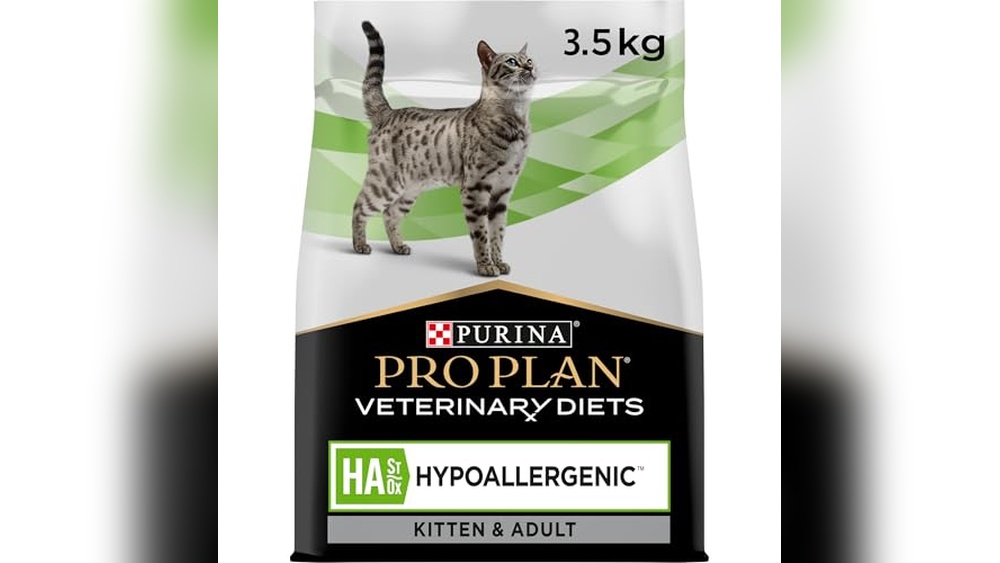 Best Cats for People With Allergies: Top Hypoallergenic Feline Diets Reviewed