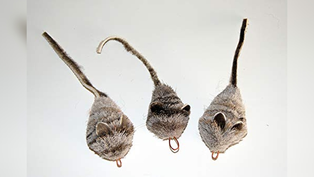 Best Cats to Catch Rats: Top Interactive Toys for Effective Pest Control