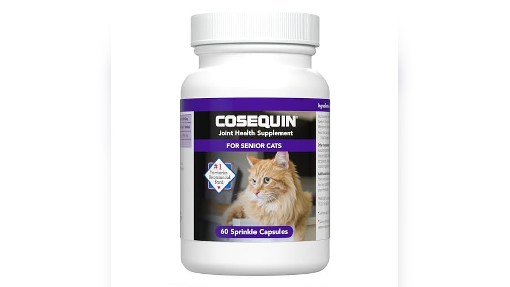 Best Cbd for Older Cats: Top Supplements for Joint and Immune Health