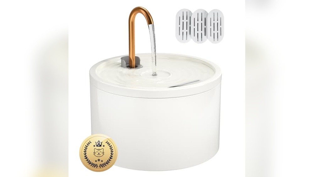 Best Ceramic Cat Drinking Fountain