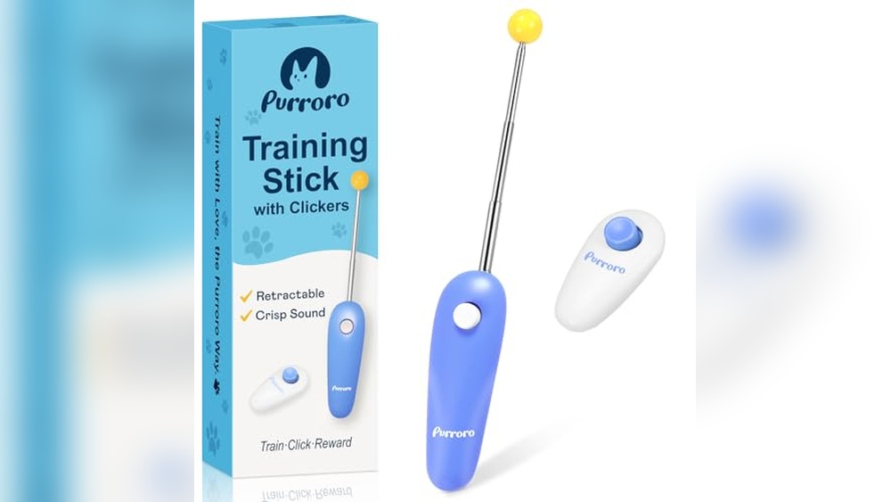 Best Clicker for Cat Training: Top Kits for Effective Behavior Reinforcement