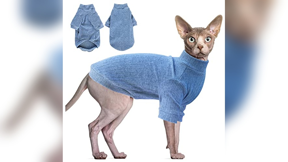 Best Clothes for Sphynx Cats: Cozy, Stylish, and Comfortable Picks