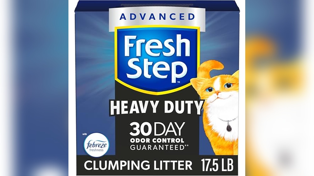 Best Clumping Litter for Multiple Cats: Top Odor Control Picks