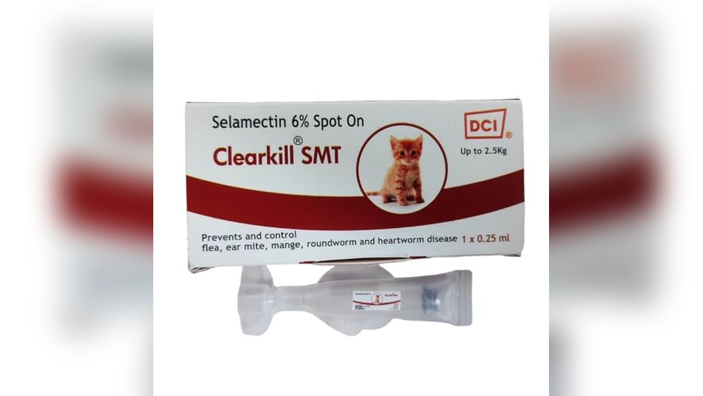 Best Combined Flea And Worm Treatment for Cats That Truly Works