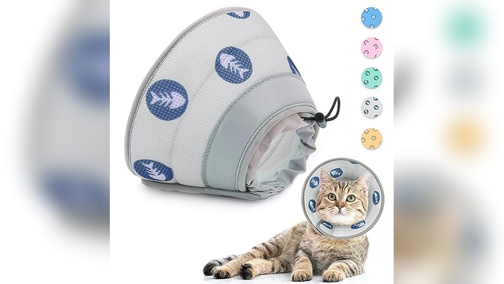 Best Cone for Cat After Neuter: Top Comfortable Recovery Collars Reviewed