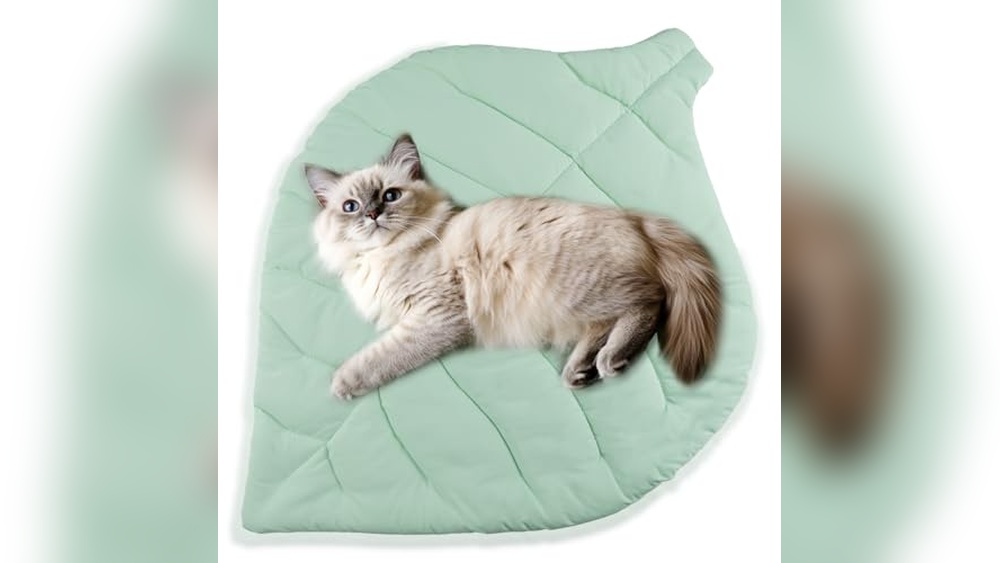 Best Cooling Mat for Cats: Top Breathable Pads for Summer Comfort