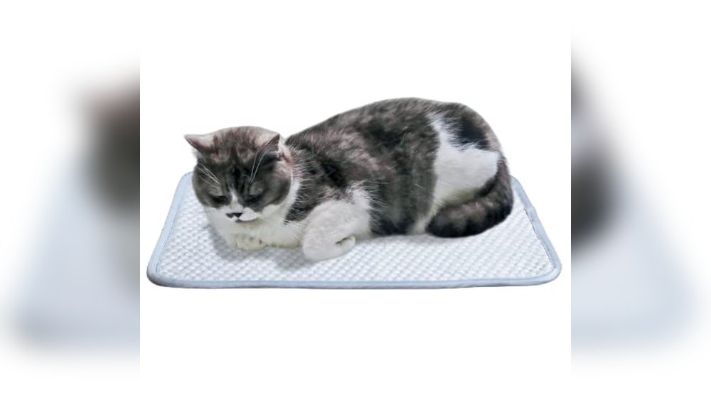 Best Cooling Mat for Outdoor Cats: Top Durable and Portable Picks