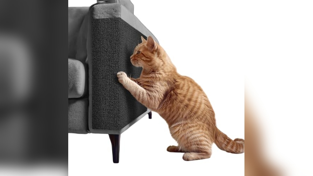 Best Couches for Cats That Scratch: Top Scratch-Resistant Sofas Reviewed