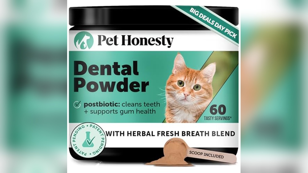 Best Dental Powder for Cats to Fight Plaque and Freshen Breath