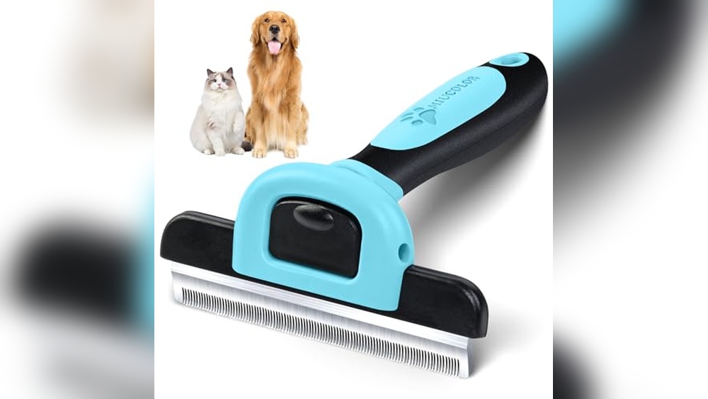 Best Deshedding Brush for Cats: Top Tools to Reduce Shedding Fast