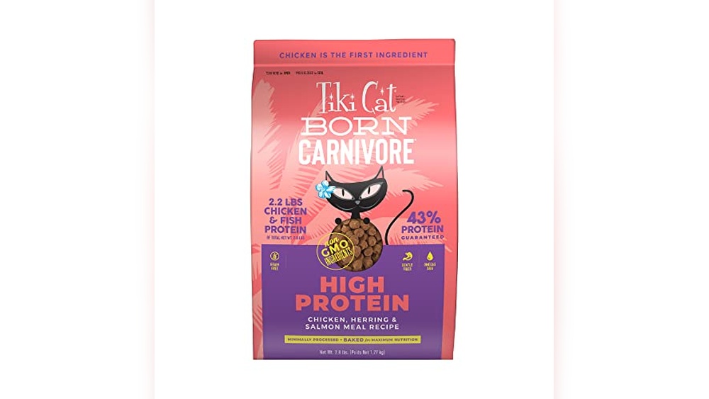 Best Diabetic Dry Cat Food for Healthy, High Protein Feline Nutrition