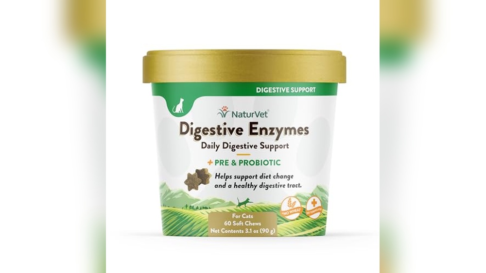 Best Digestive Enzymes for Cats to Support Healthy Digestion and Immunity